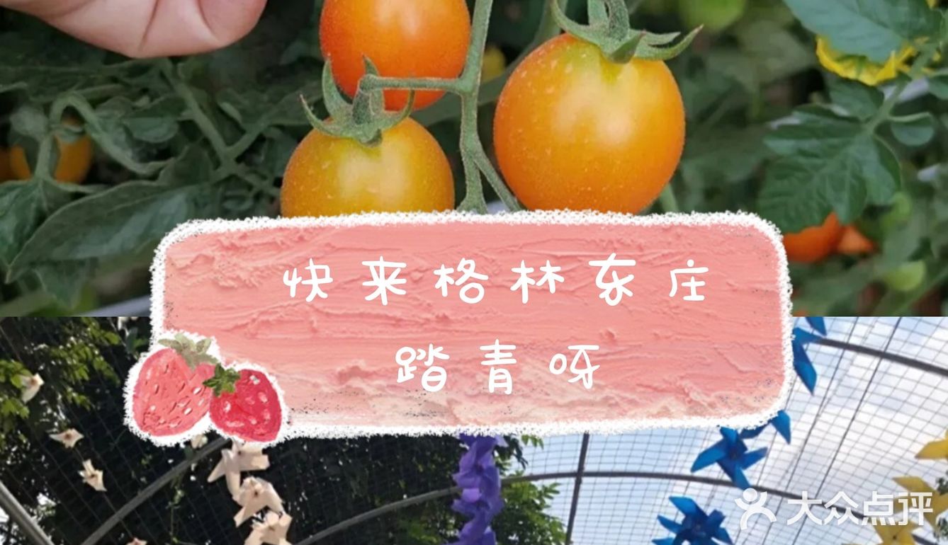 阳光明媚🌞,带孩子来踏青吧⭐！