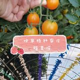 阳光明媚🌞,带孩子来踏青吧⭐！