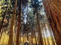 -山王坪喀斯特国家生态公园