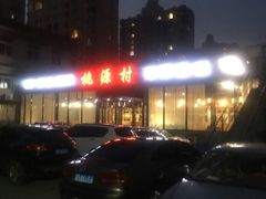 -桃源村铁锅炖鱼(体育馆道店)