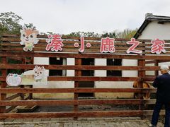 -溱湖国家湿地公园