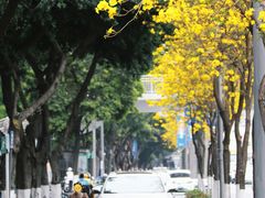 -华西坝(地铁站)