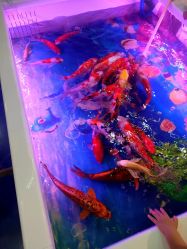 -宝贝王(天津滨海店)