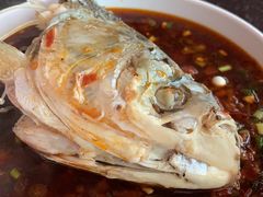 鱼头-老杨砂锅鱼庄