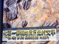 -安徽省地质博物馆