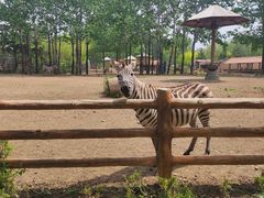 -大连森林动物园