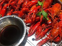 贵妃虾-0574龙虾的故事(东裕店)