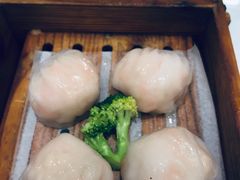 -鹅城