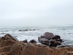 -海南棋子湾开元度假村·祺咖啡自助餐厅