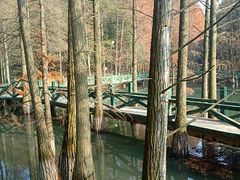 景点-九真山风景区