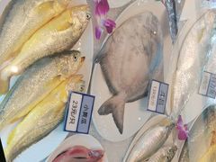 -渔傅印象滩涂霞浦海鲜(井大路店)