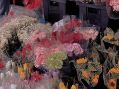 -循礼门鲜花花市(武汉循礼门店)