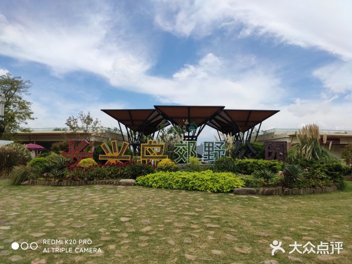 上海长兴岛郊野公园图片