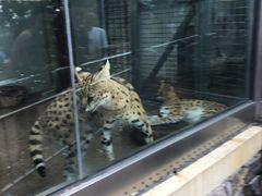 -荆州中山公园动物园