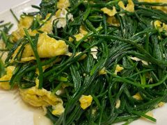 -靖远尕六美味羊羔肉