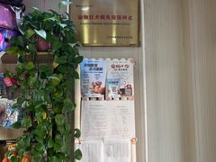 -中农大我爱我爱24h动物医院·中医针灸·猫专科·骨科医疗中心(双井店)