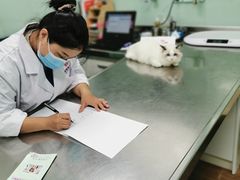 -哆趣宠物医院·眼科·内镜·急重症转诊中心(上海店)