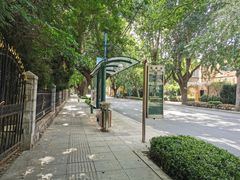 -子霖南山鲜虾面(南山总店)