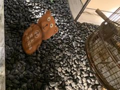 -小厨娘淮扬菜(六合欢乐港店)