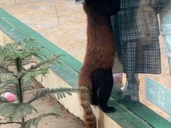 -石家庄市动物园