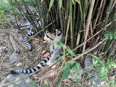 -宁波野生动物园