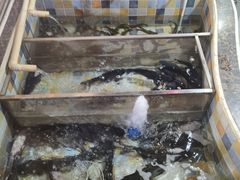 水产区-缘福乡村铁锅炖民宿(八达岭店)