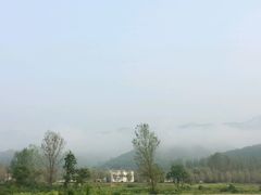 android_upload_pic-中原大佛景区