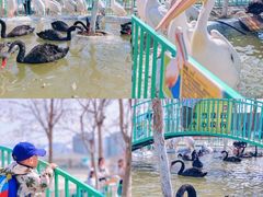 -水上乐园·欢乐世界