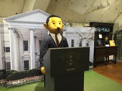 -济州岛泰迪熊博物馆