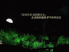 -禅宗少林·音乐大典