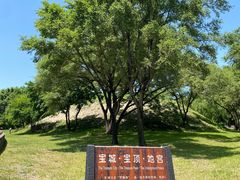 -北陵公园