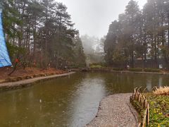 -庐山风景区花径公园