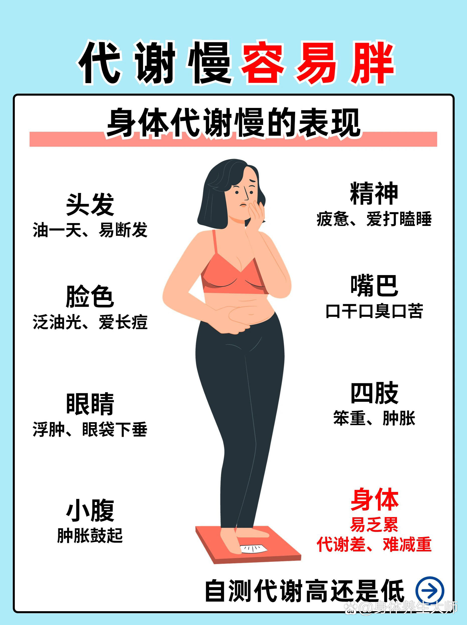 🔥 代谢说明书:你的身体"燃"力密码