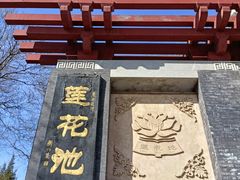 -莲花池公园