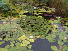 -国家植物园南园