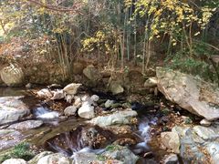 -天台山琼台仙谷景区