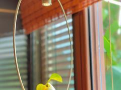 -垚慈居素食(华发新城店)