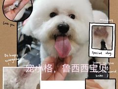 -宠小格时尚宠物生活馆(唐镇店)