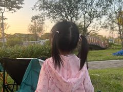 -王借岗森林公园