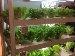 -盒马鲜生(大成店)