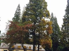 -白马涧龙池景区