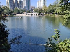-荔湾湖公园
