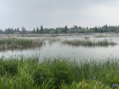 -泗洪洪泽湖湿地景区