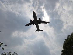 -空港花田景区