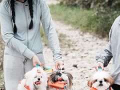 -楠溪江风景名胜区