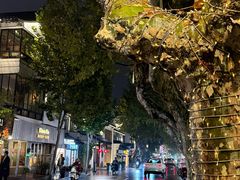 -麻雀咖啡SPARROW COFFEE(十全街店)