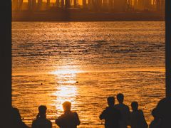 -宝安西湾红树林湿地公园