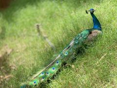 -昆明动物园
