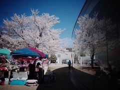 -金泽21世纪美术馆