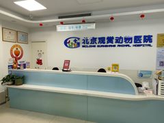 -北京观赏动物医院·24小时大型综合·猫专科·异宠专科